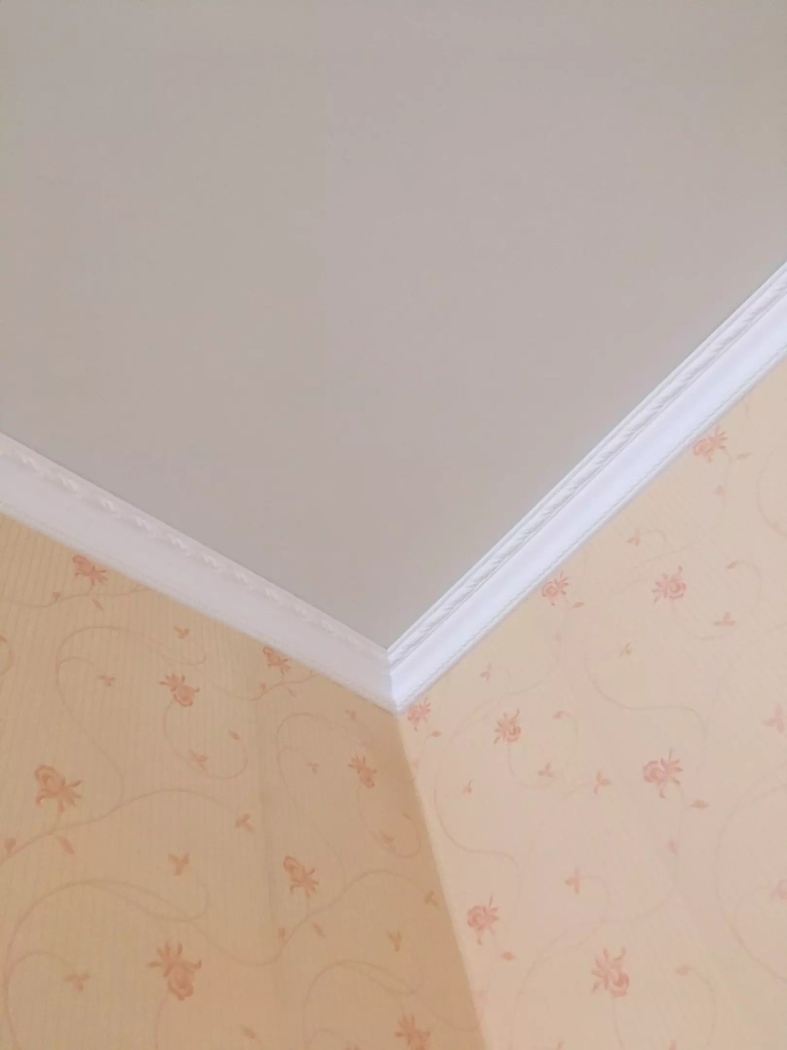 Вологда, Петина, 25, фото 3