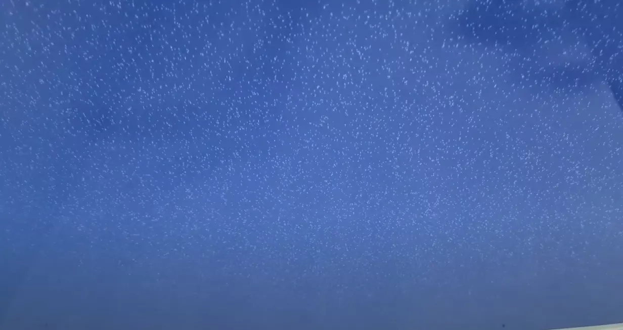 Прокопьевск, Мурманская улица, 35, фото 3