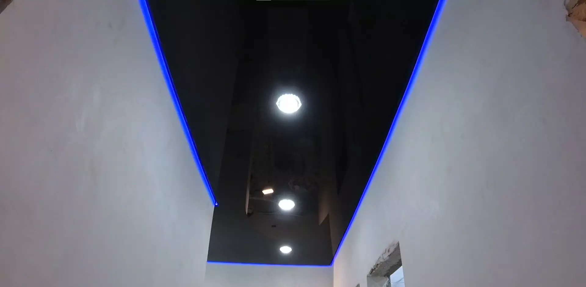 Воронеж, Шишкова, 144, фото 1