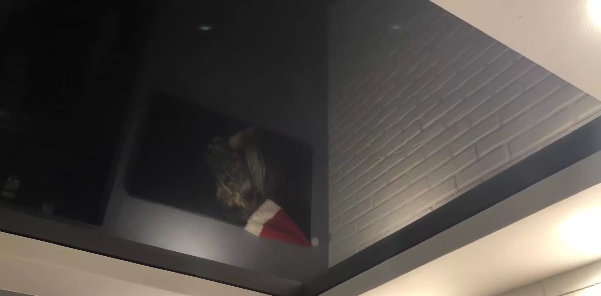 Москва, Пятницкое шоссе, 39, фото 3